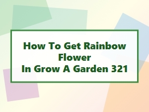Grow Rainbow Flowers in Garden 321: a Care Guide